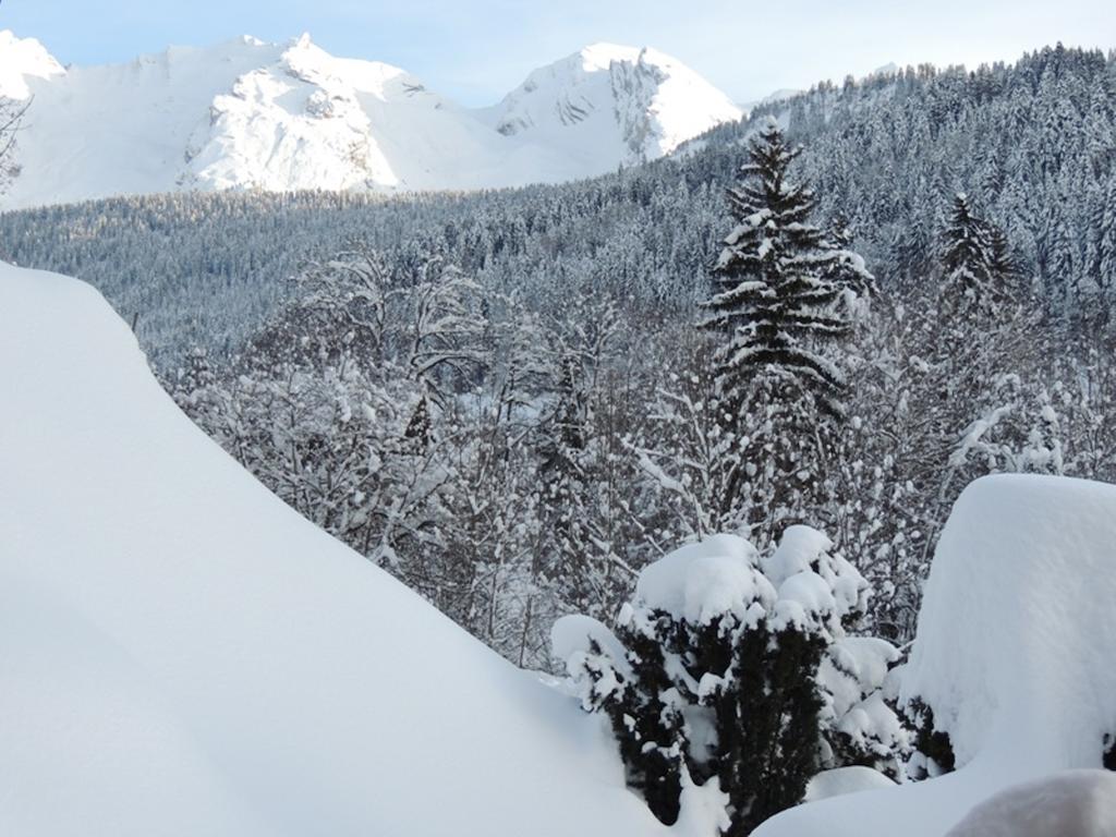 La Duche 101 Apartment Le Grand-Bornand Bilik gambar